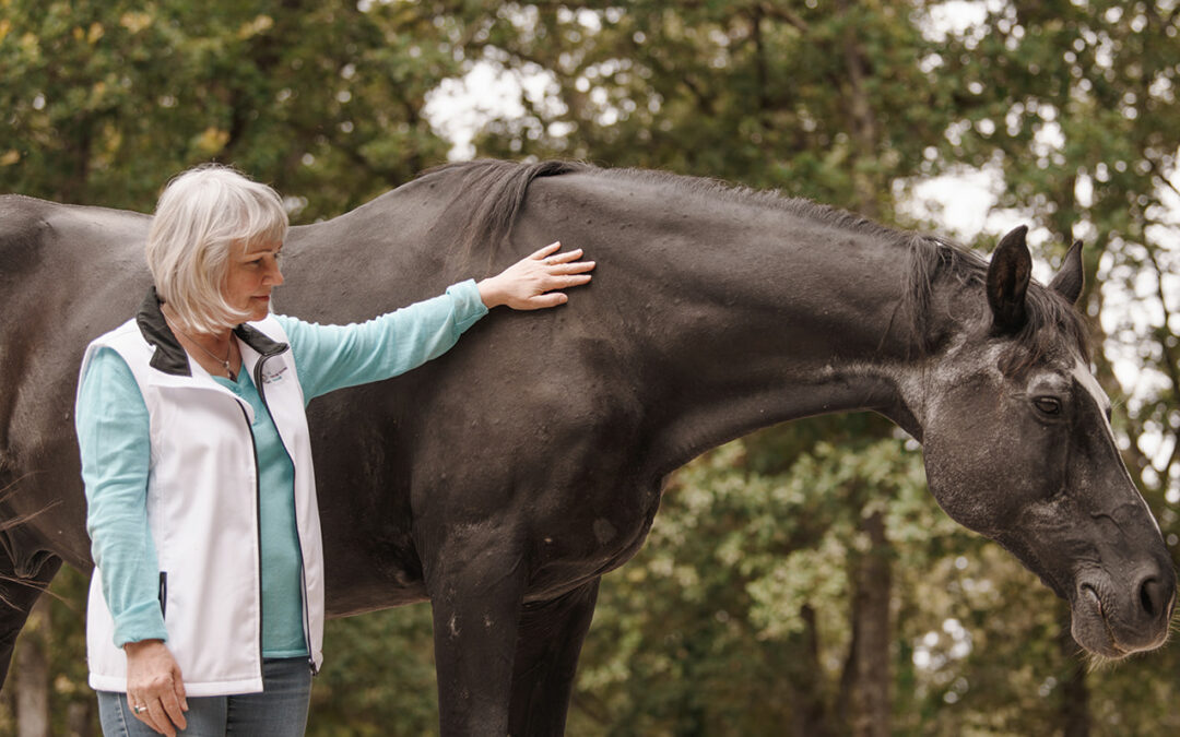 Le champ du cœur en Facilitation Équine® : quatre leviers concrets