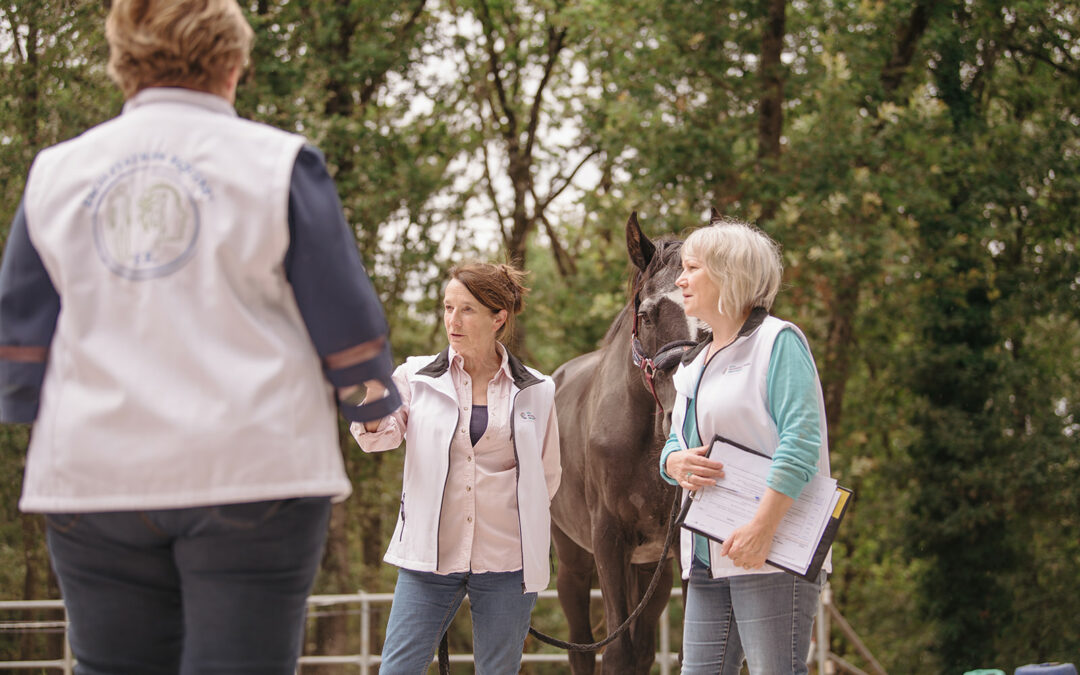Facilitation Équine®, équicoaching, équithérapie : quelles différences et comment choisir ?