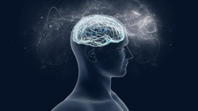 Pleine conscience et Facilitation Équine® : Quel terrain commun ?